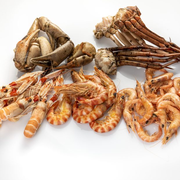 MARISCADA ESPECIAL MARODI