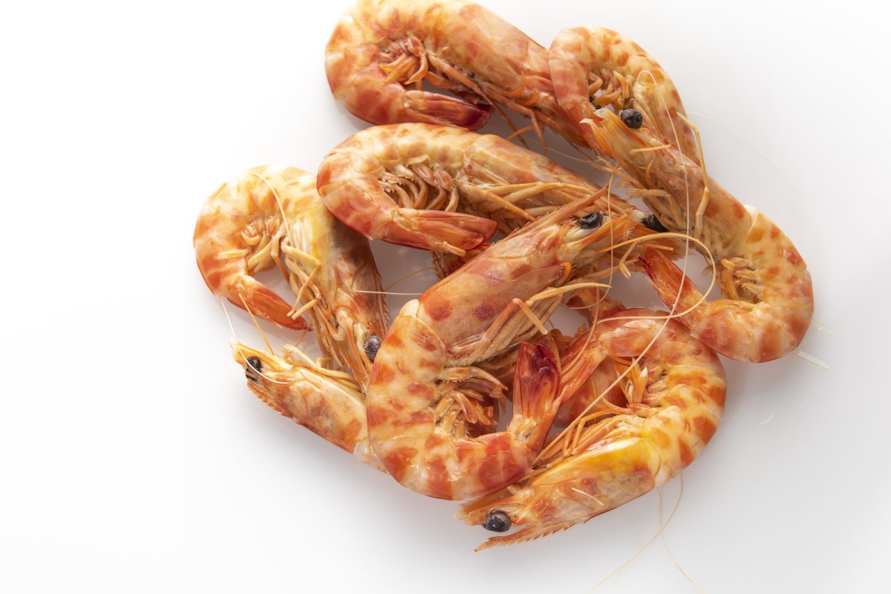 Comprar Langostino Tigre Cocido El Puerto de Santa María